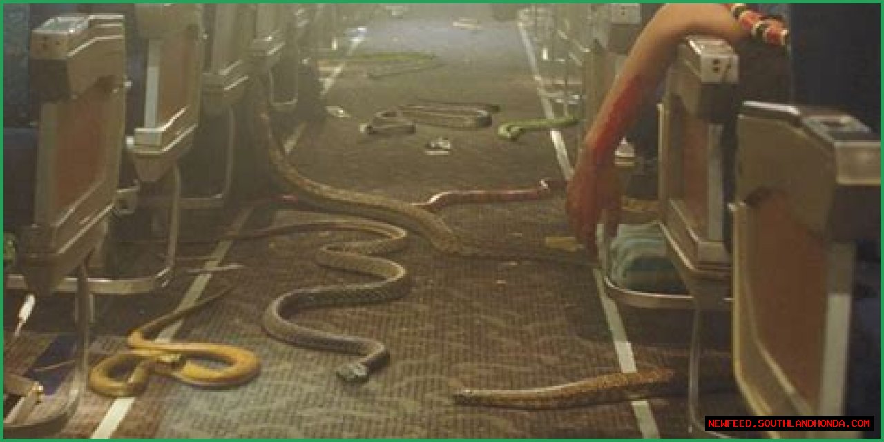 Is 'Plane' Rooted In Reality?